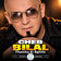 Fhamha ki bghit by Cheb Bilal album cover