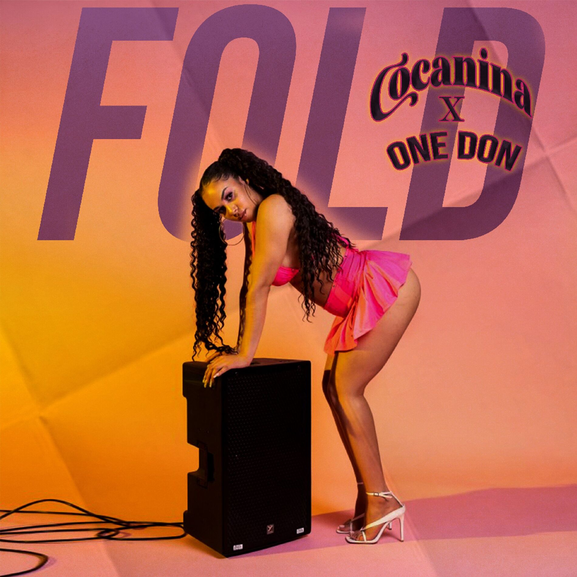 Album cover of FOLD