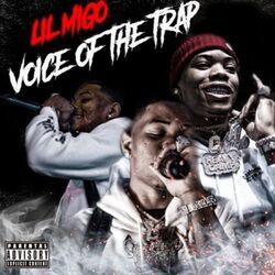 Cover of Voice of the Trap
