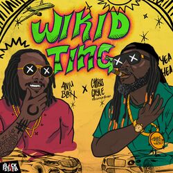 Cover of Wikid Ting
