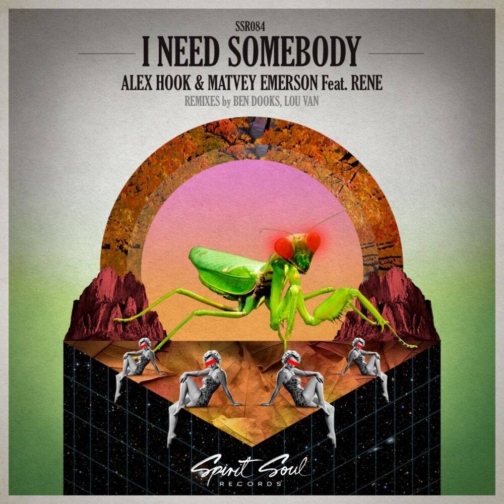 Picture of I Need Somebody