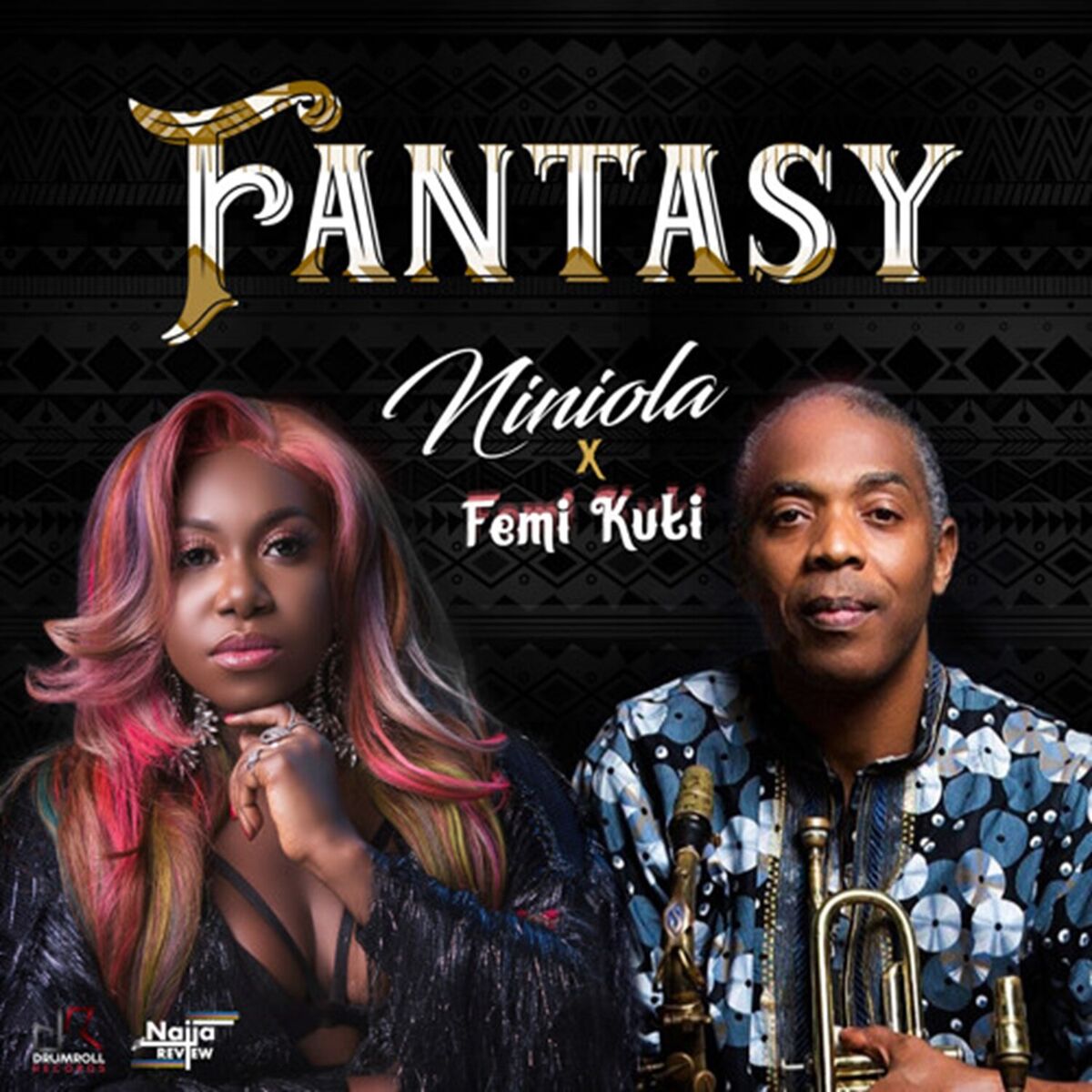Album cover of Fantasy (feat. Femi Kuti)