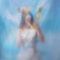 Cover of Wonder