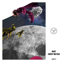 Cover of Sweet Nectar