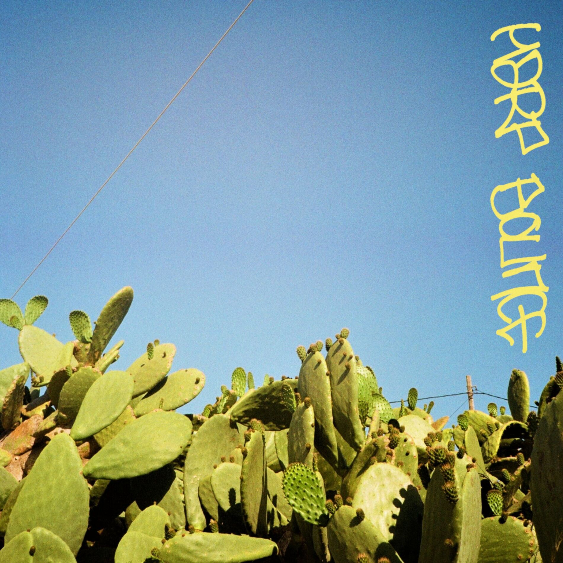 Album cover of Harp Bounce