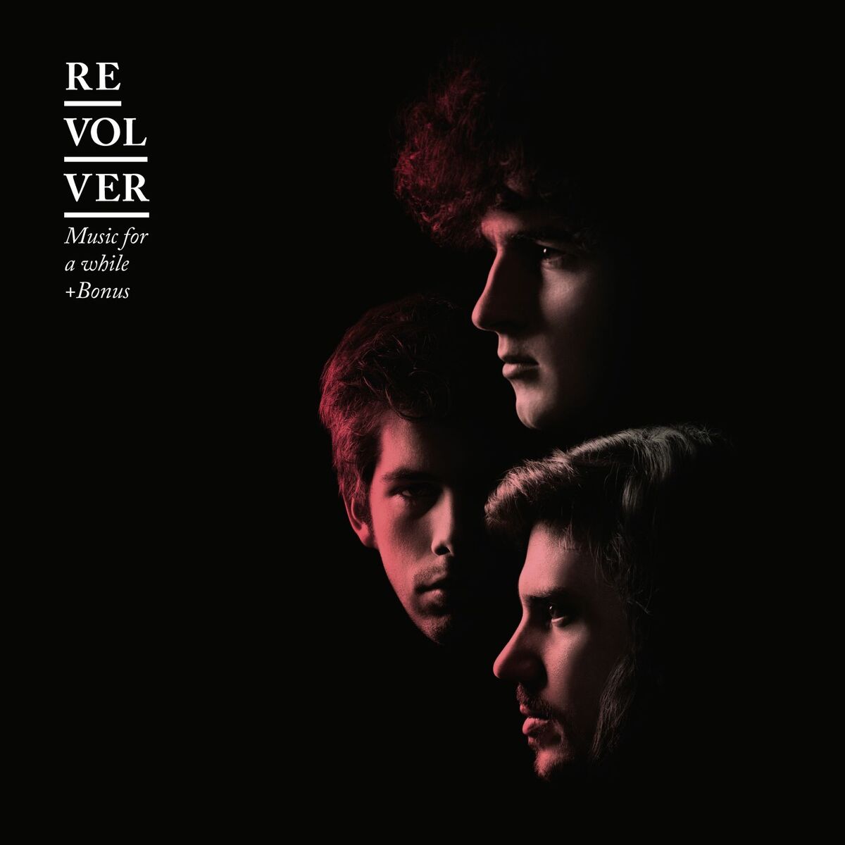 Album cover of Birds in Dm