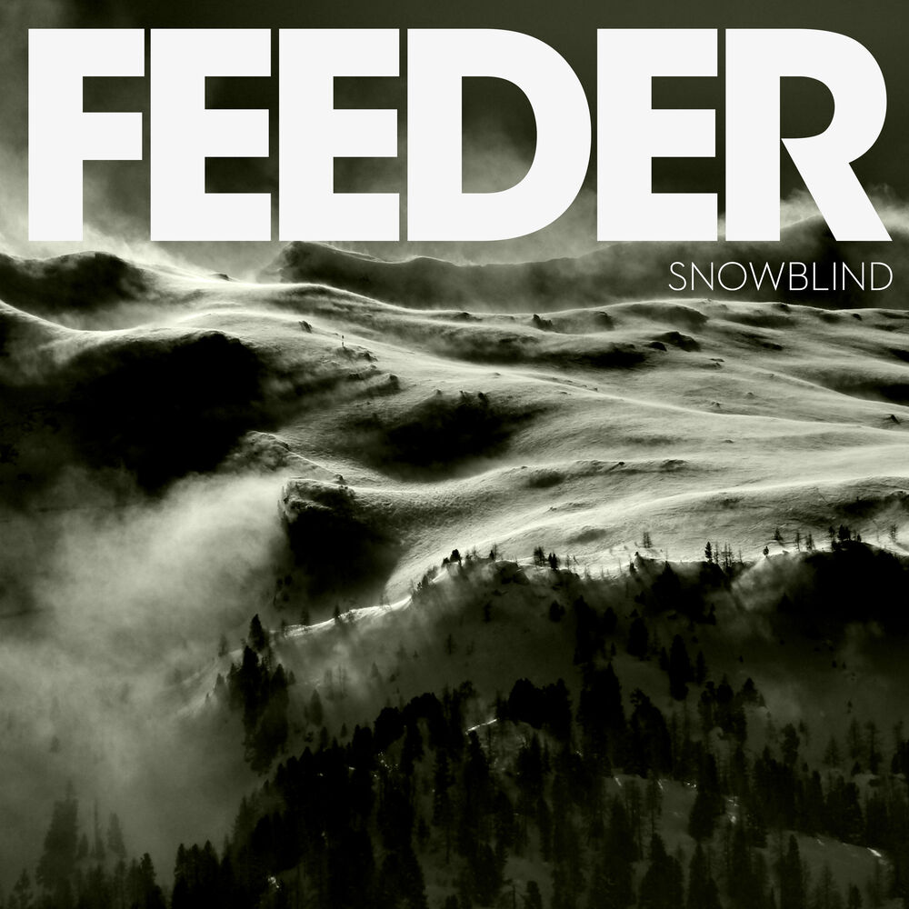 Picture of Snowblind