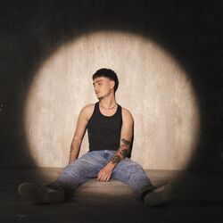 Cover of Peito Aberto