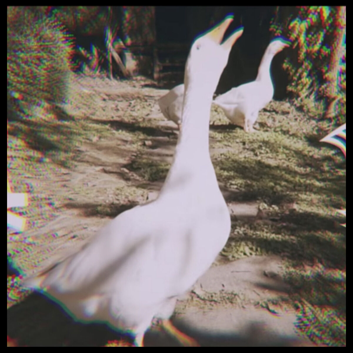 Album cover of You See Me