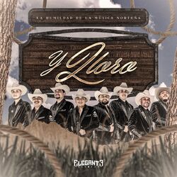 Cover of Y Lloro