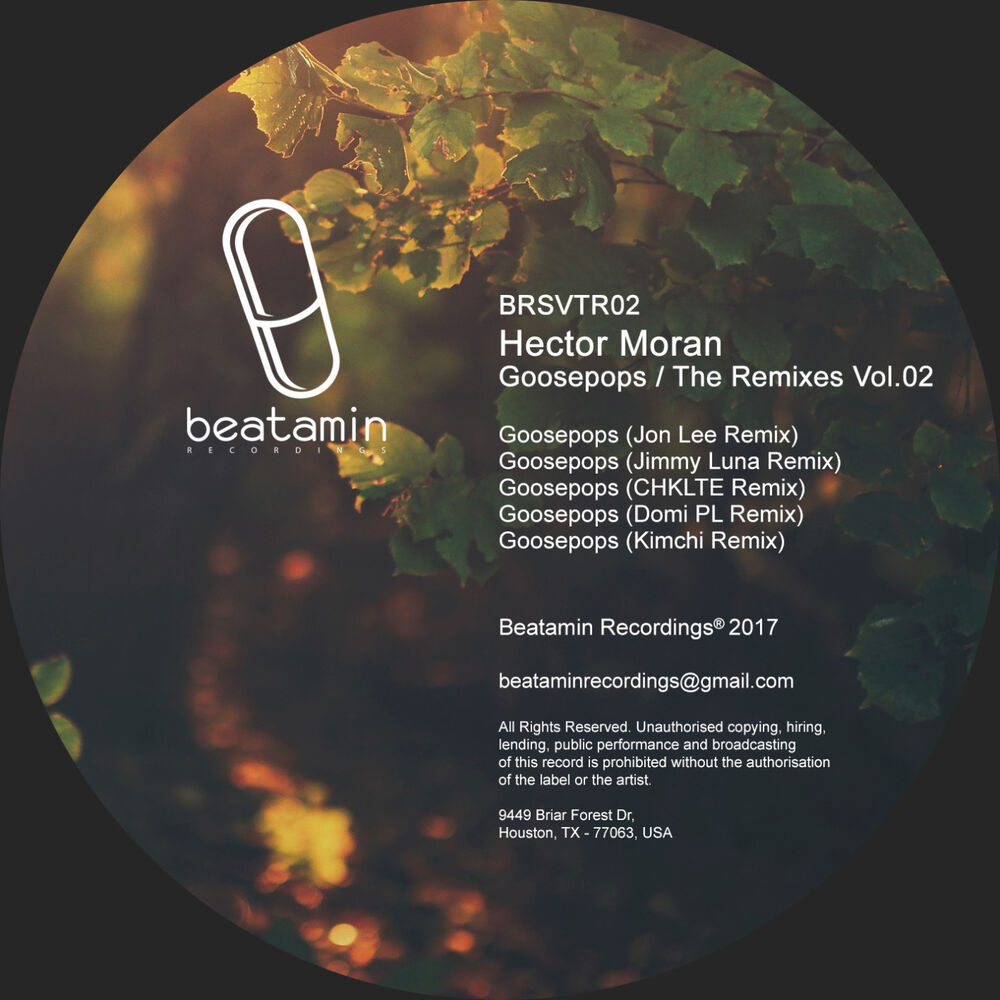 Picture of GOOSEPOPS the Remixes 02