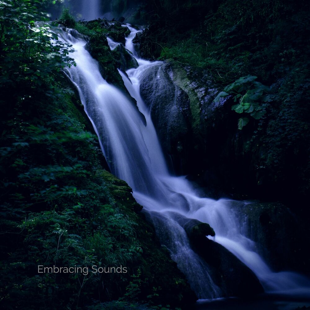 Picture of Nighttime Forest Stream