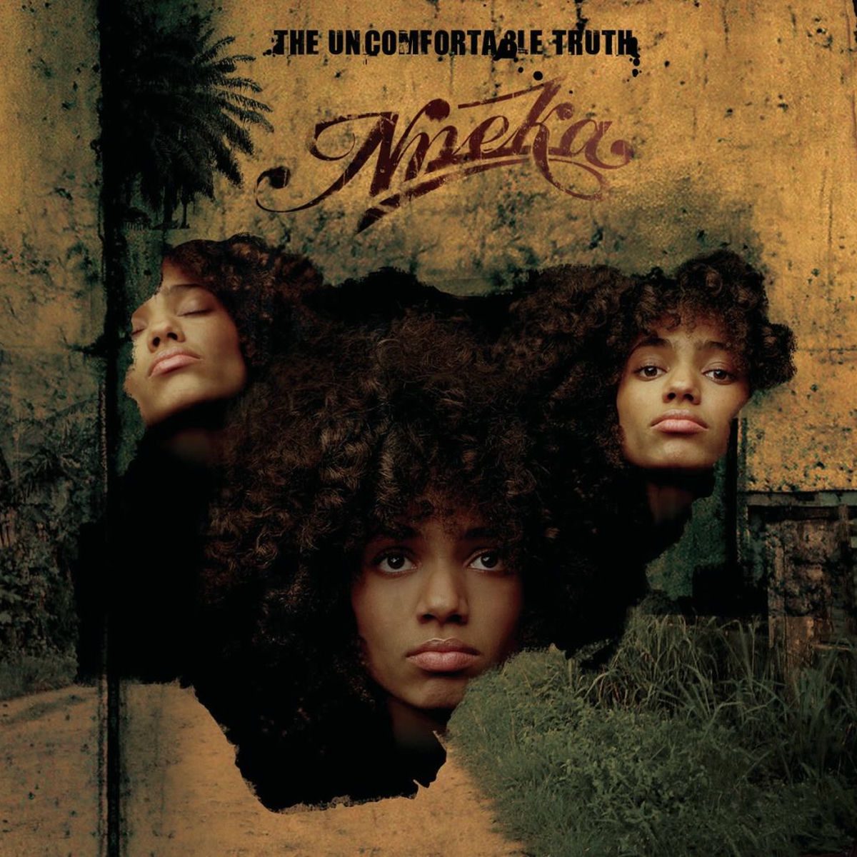 Album cover of The Uncomfortable Truth