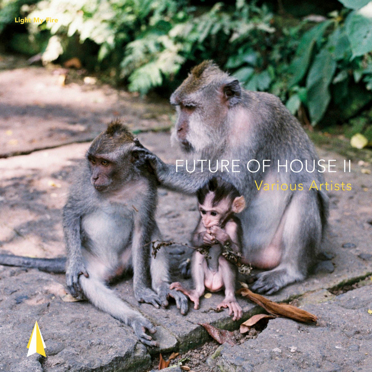 Album cover of Future of House II