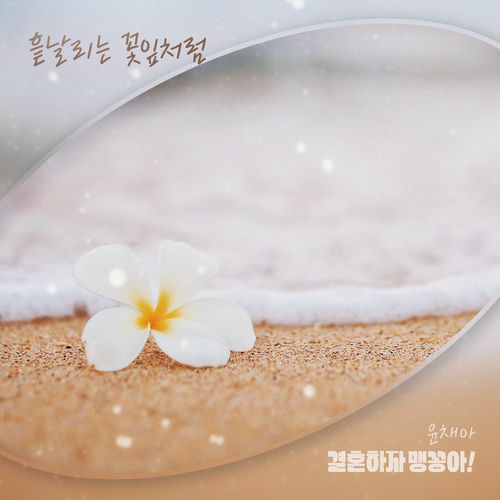 YOON CHAE AH – 결혼하자 맹꽁아! (Original Television Soundtrack) Pt.24