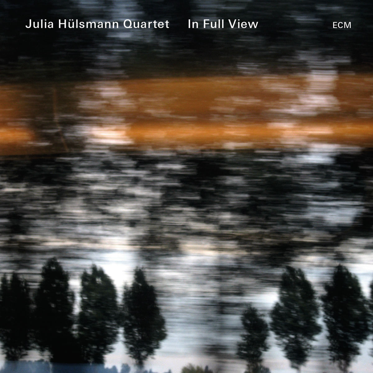 Album cover of In Full View