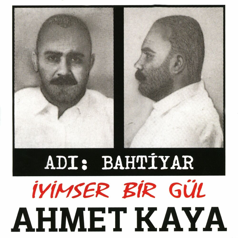 Picture of İyimser Bir Gül