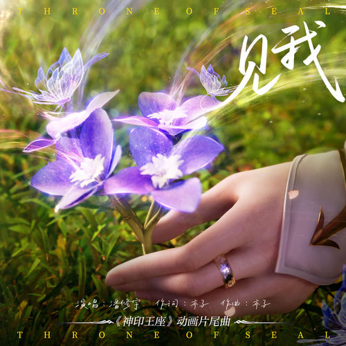 见我 (《神印王座》动画片尾曲)