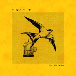 Cover of Fly my Bird