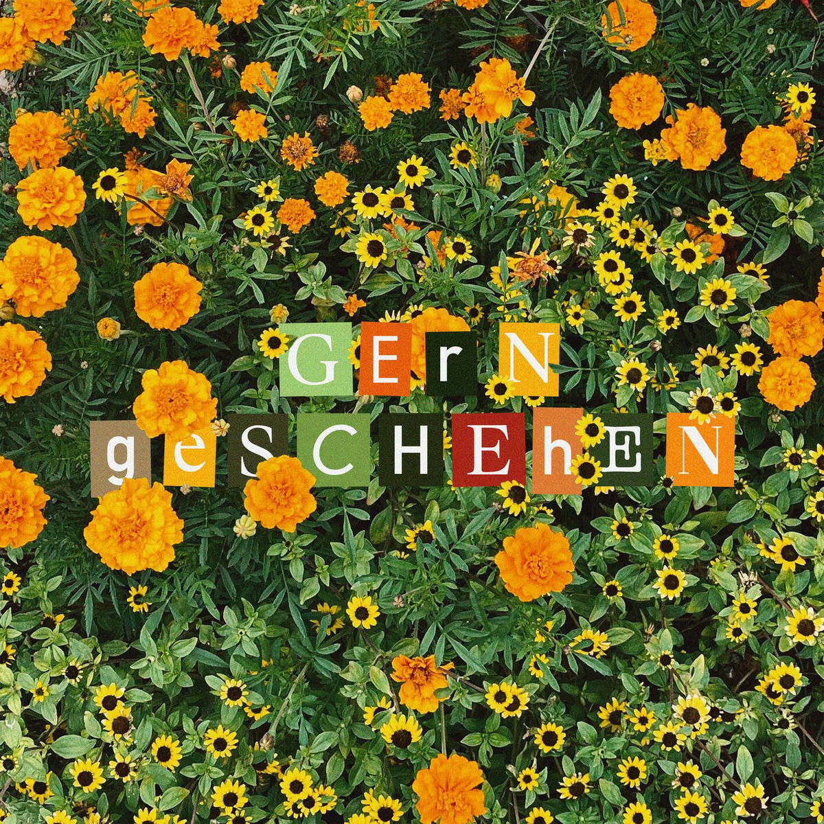 Album cover of Gern geschehen