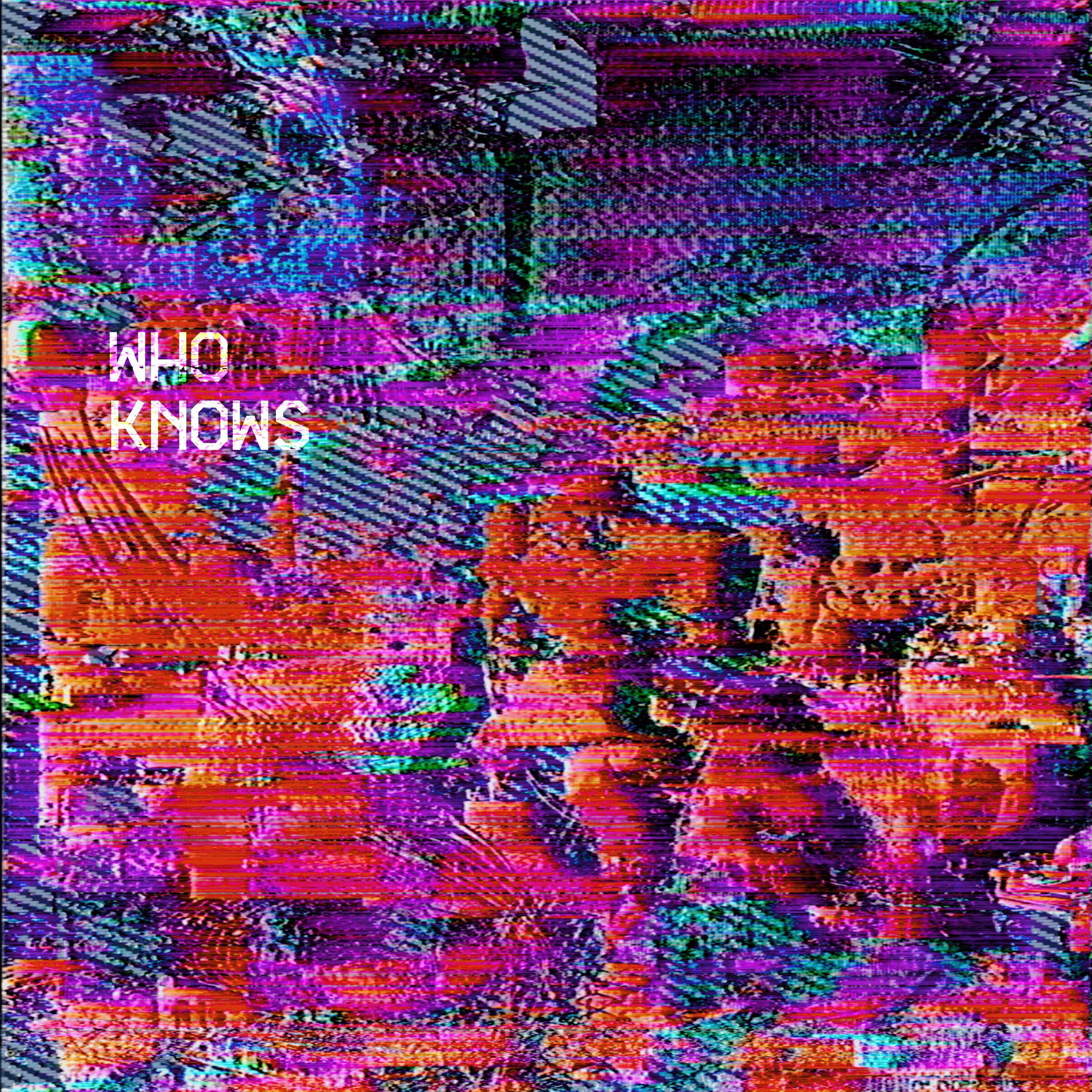 Album cover of Who Knows