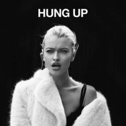 Cover of Hung Up