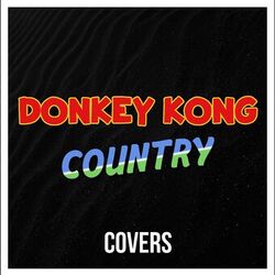 Cover of Donkey Kong Country (Covers)