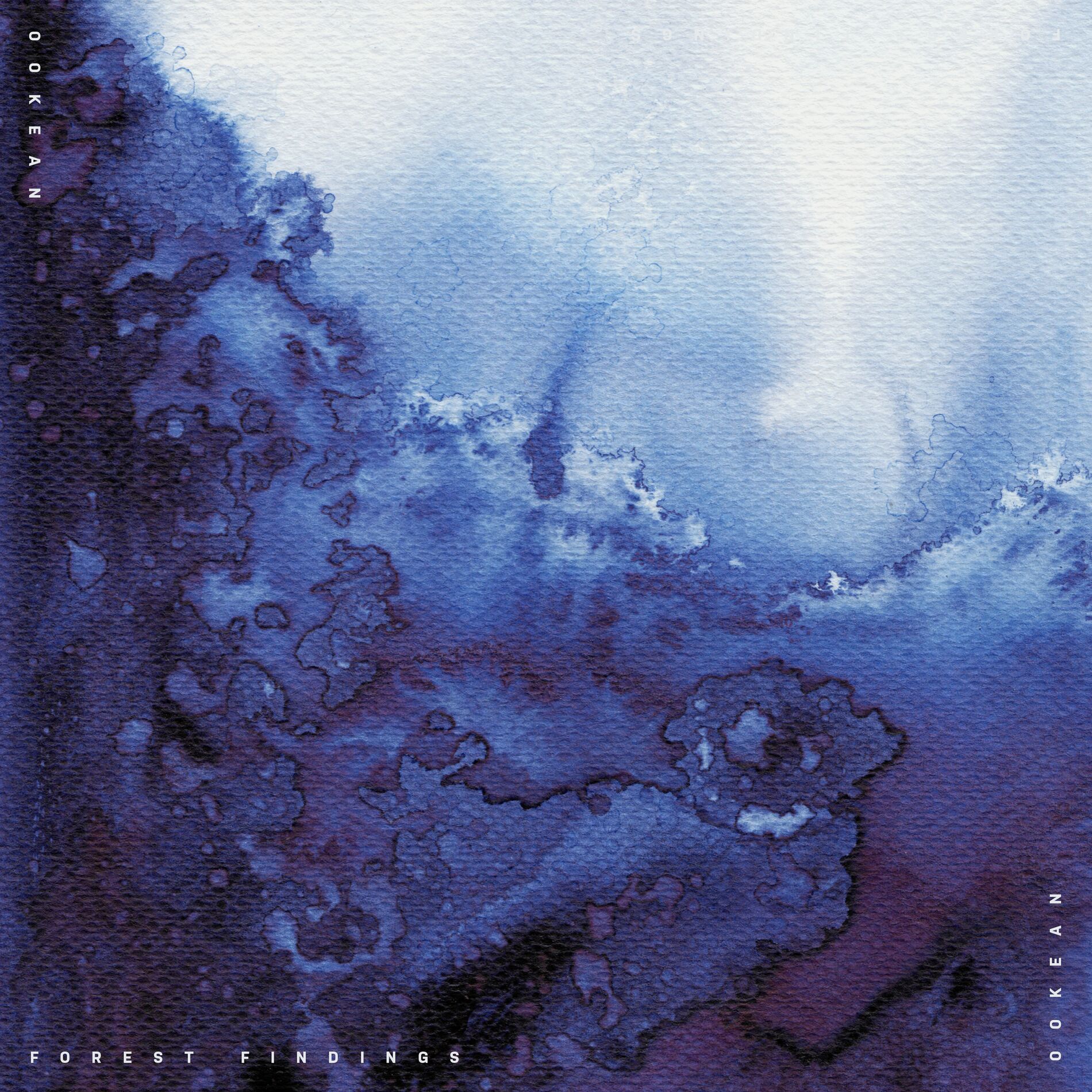 Album cover of Forest Findings