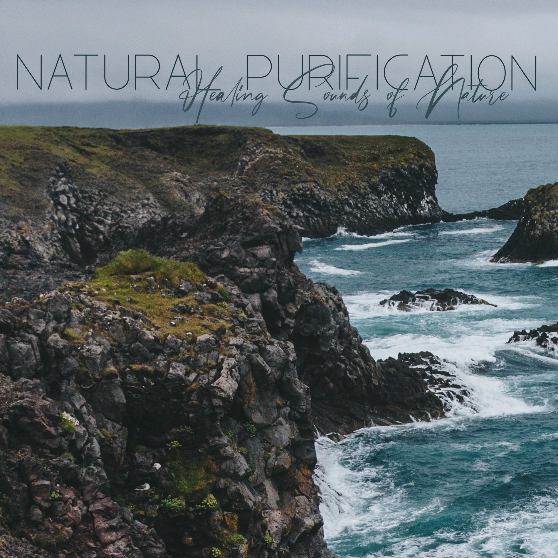 Album cover of Natural Purification: Healing Sounds of Nature for Deep Body & Mind Regeneration
