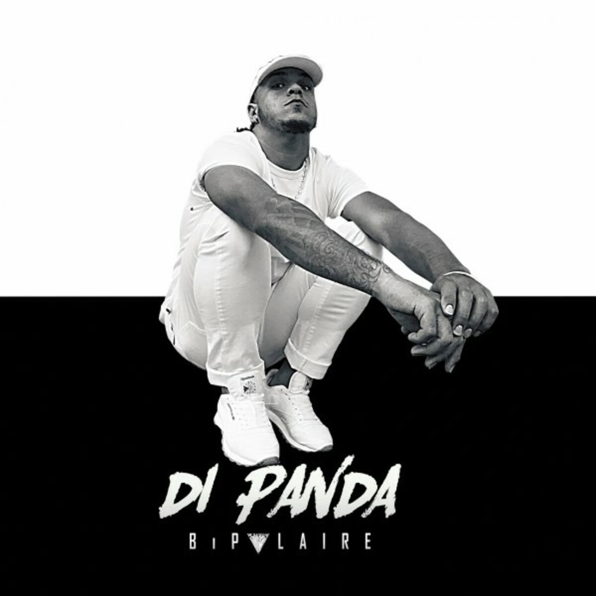 Album cover of Bipolaire