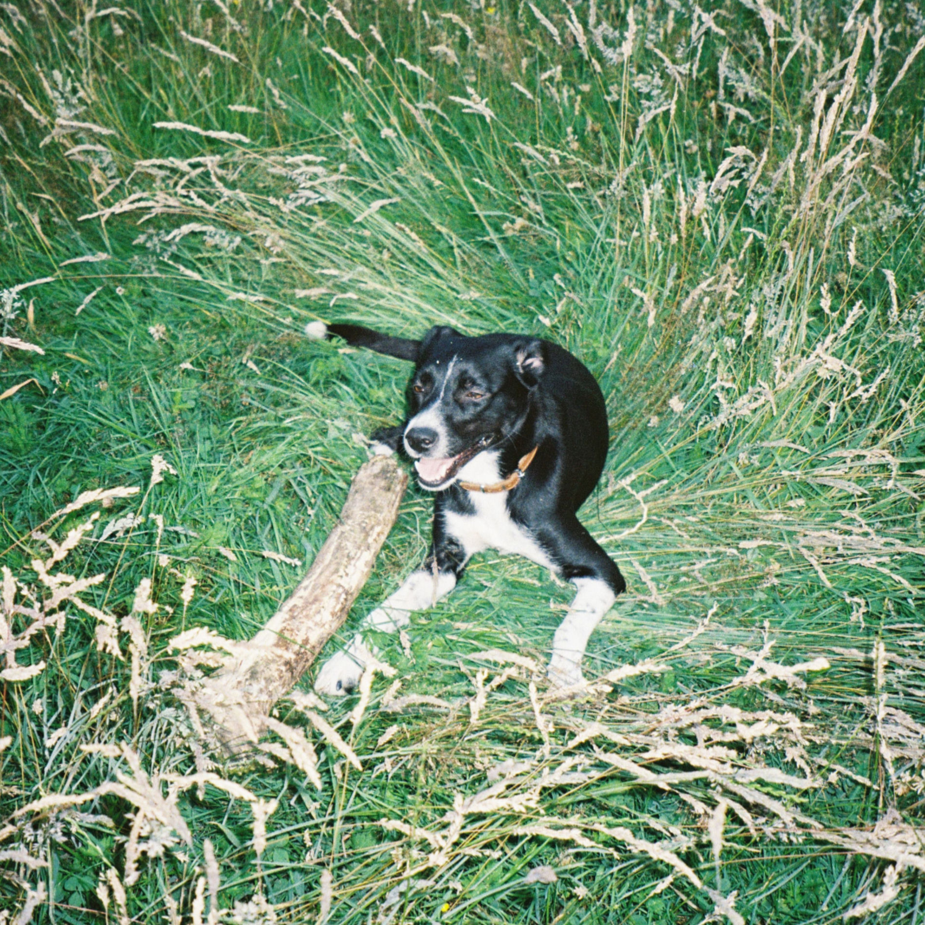 Album cover of Lost