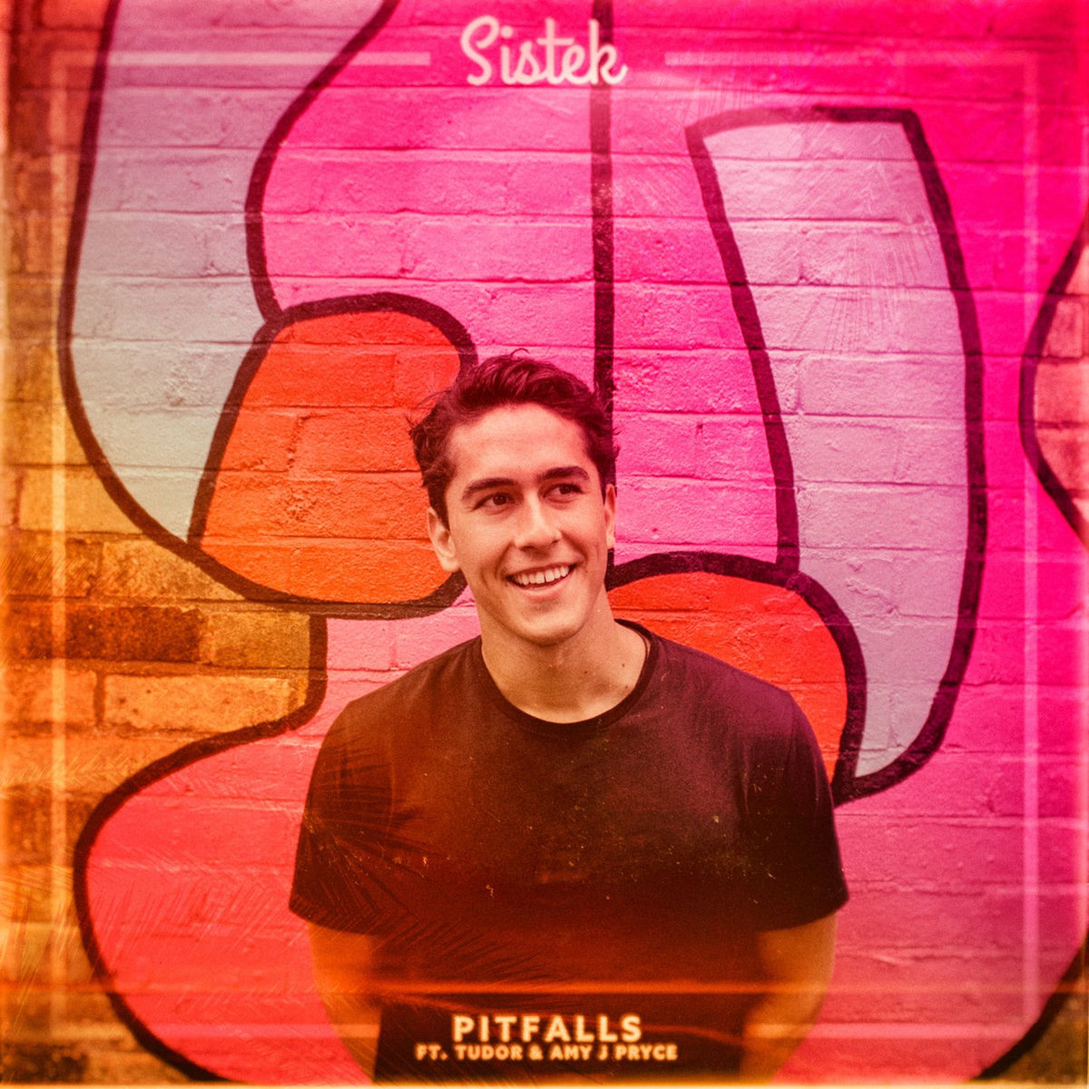 Album cover of Pitfalls