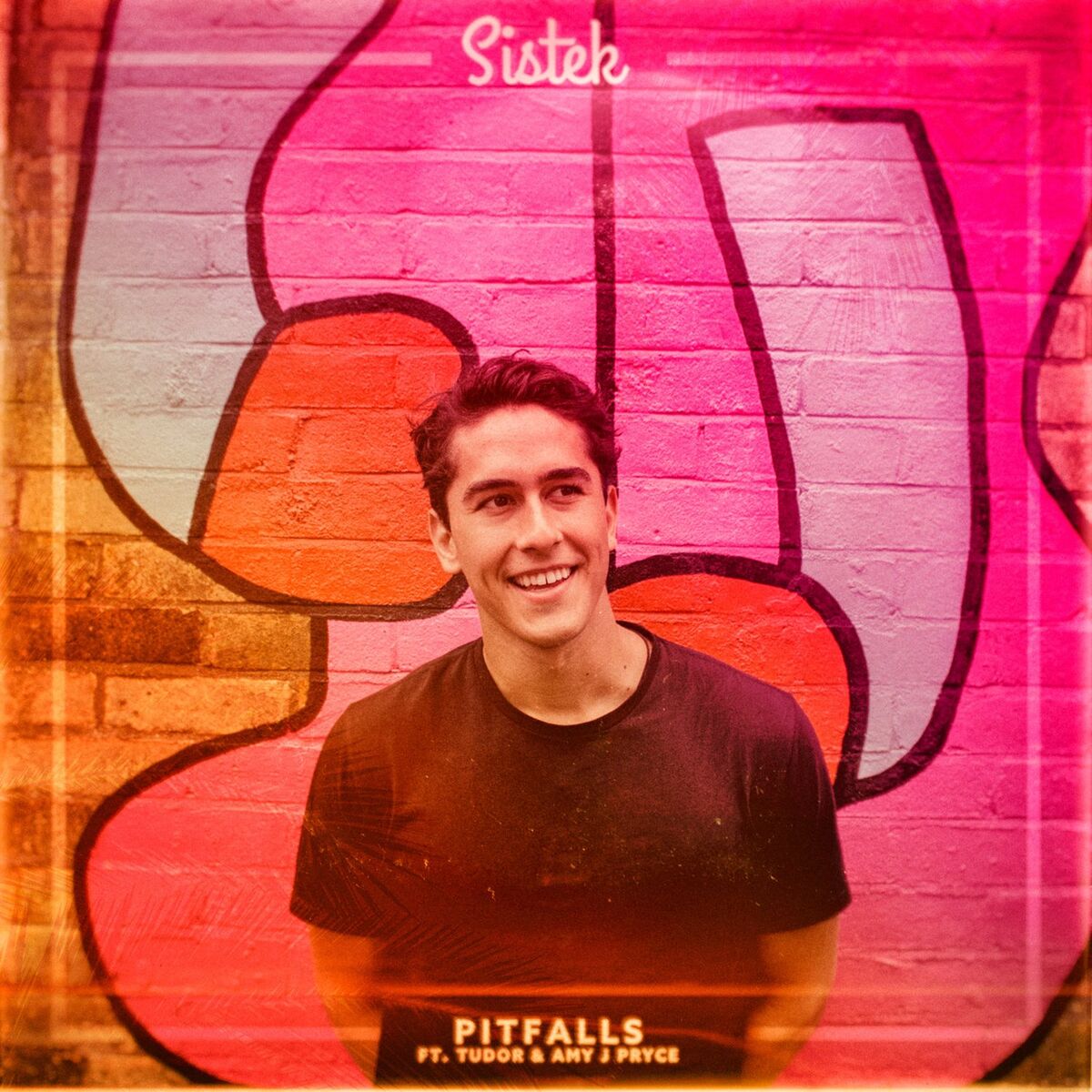 Album cover of Pitfalls
