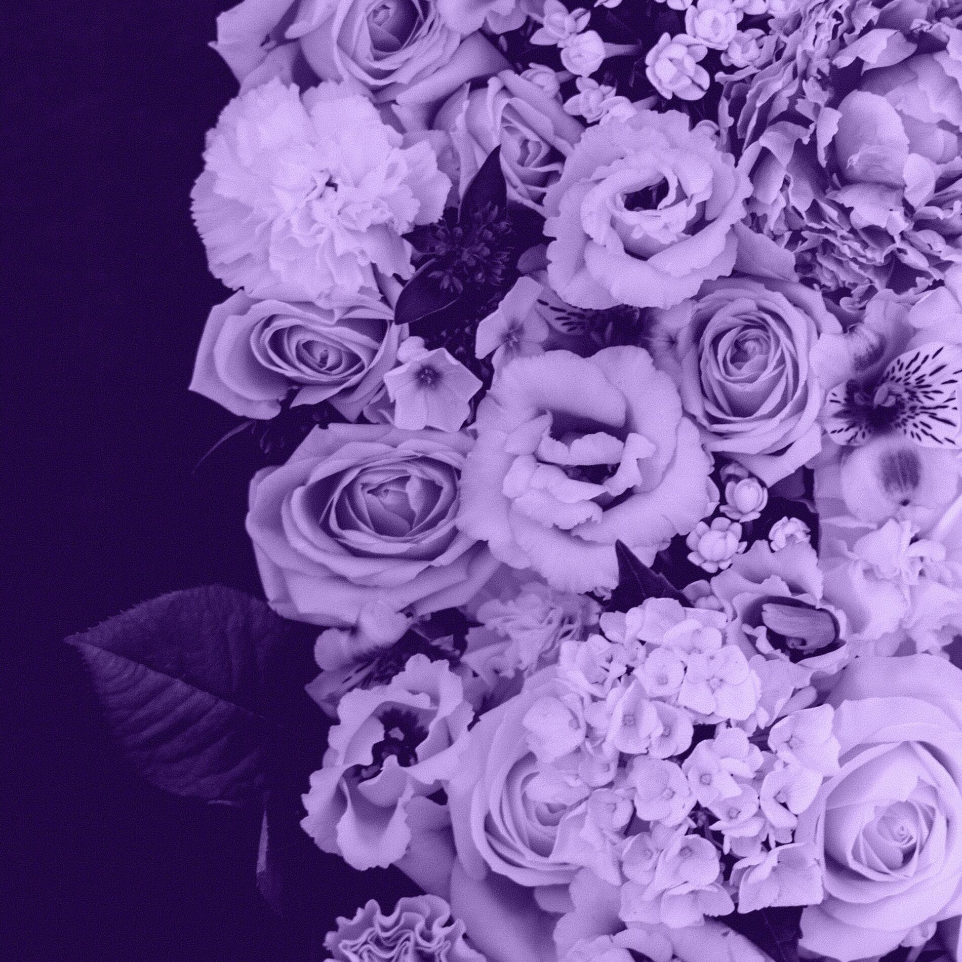 Album cover of Last Summers Love