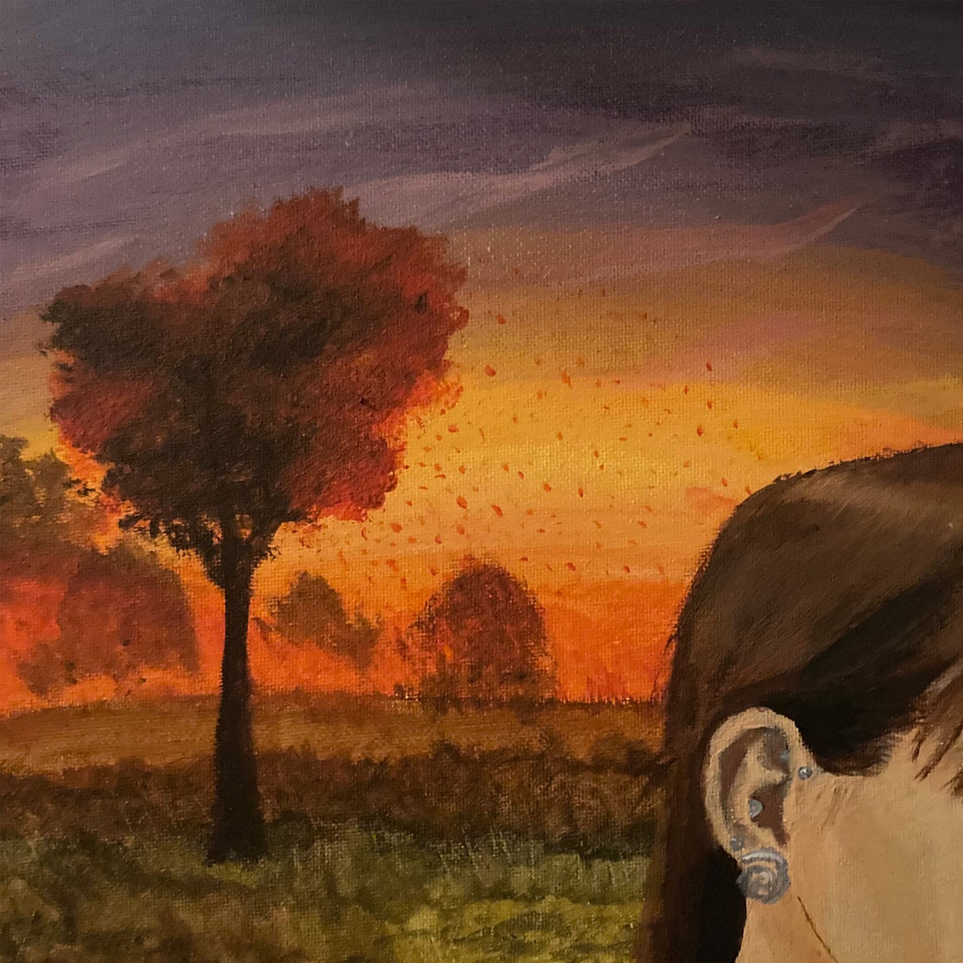 Album cover of MÖDI