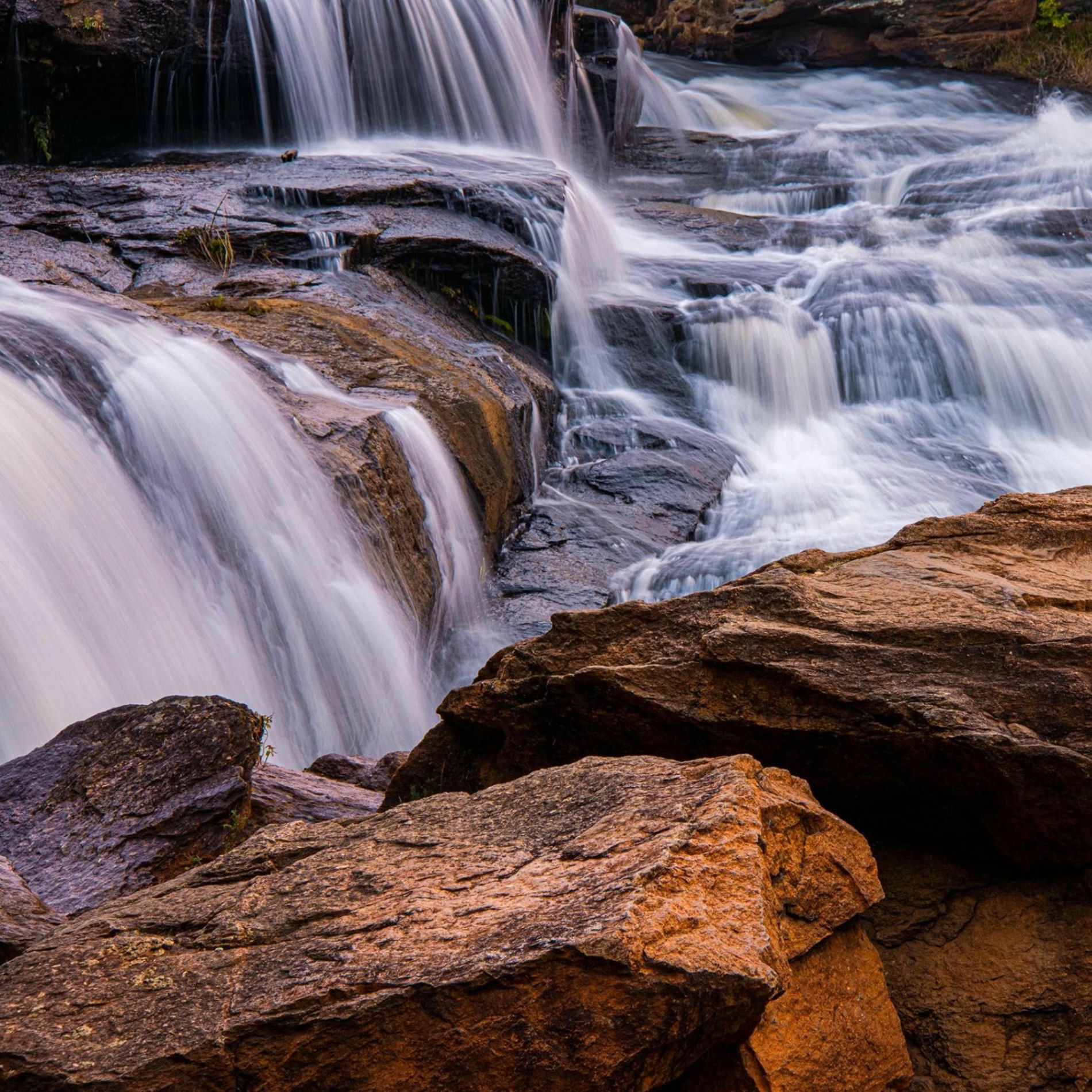 Album cover of Rushes Like Falling Water