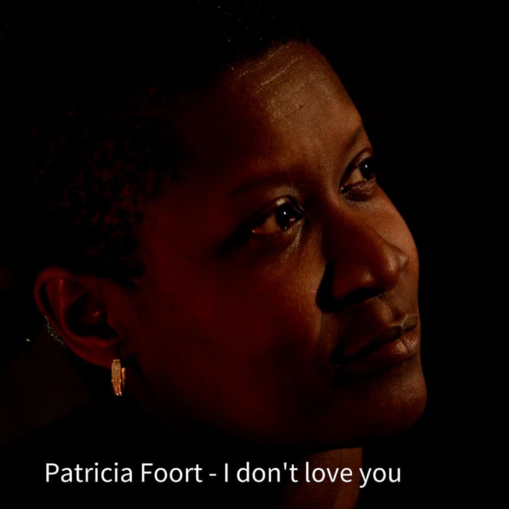 Picture of I Don't Love You