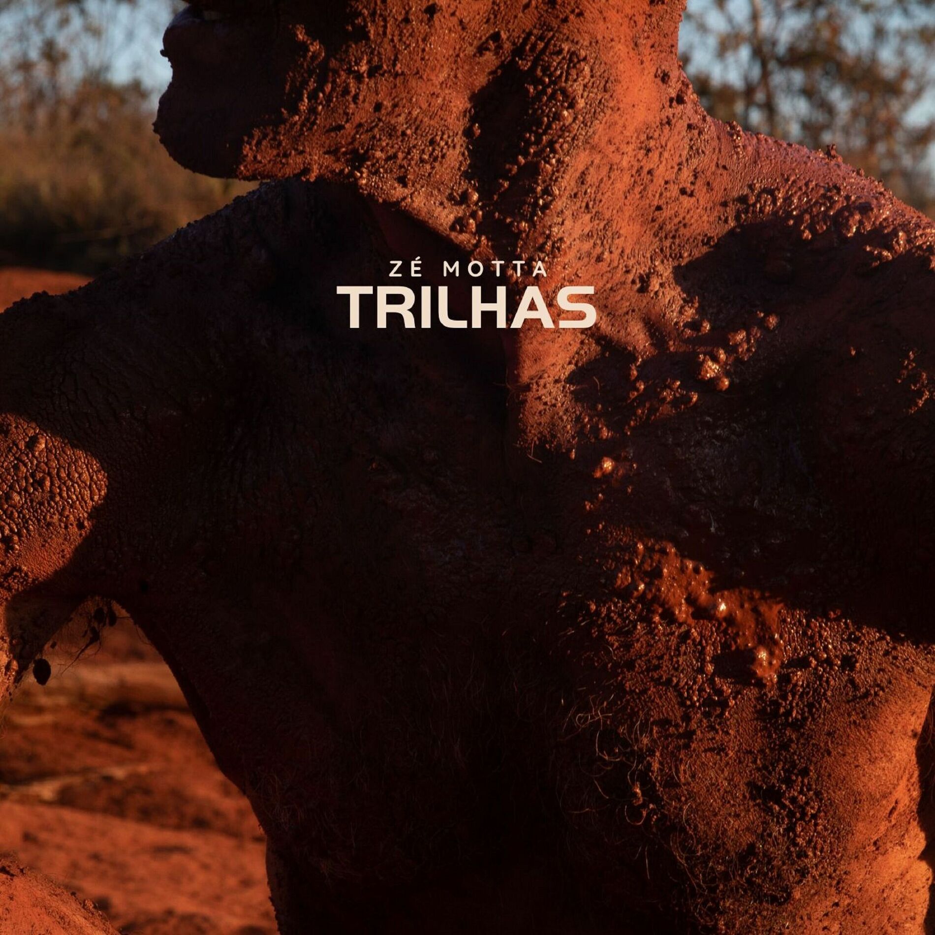 Album cover of Trilhas