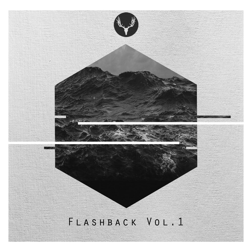 Picture of Flashback Vol. 1