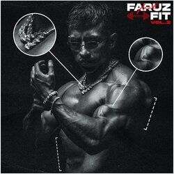 Cover of Faruz Fit, Vol. 2