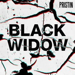 Cover of Black Widow (Remix Ver.)