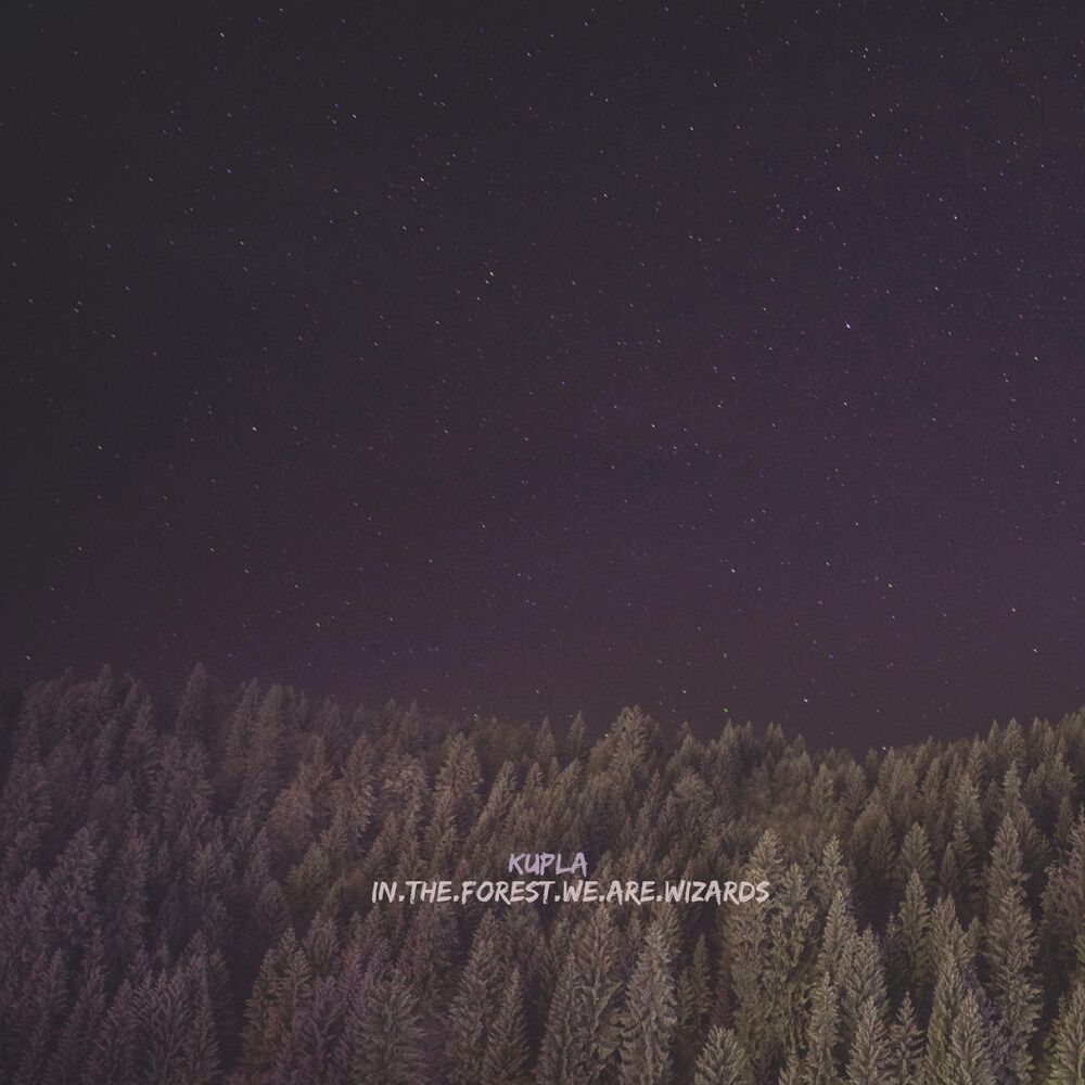 Picture of in.the.forest.we.are.wizards