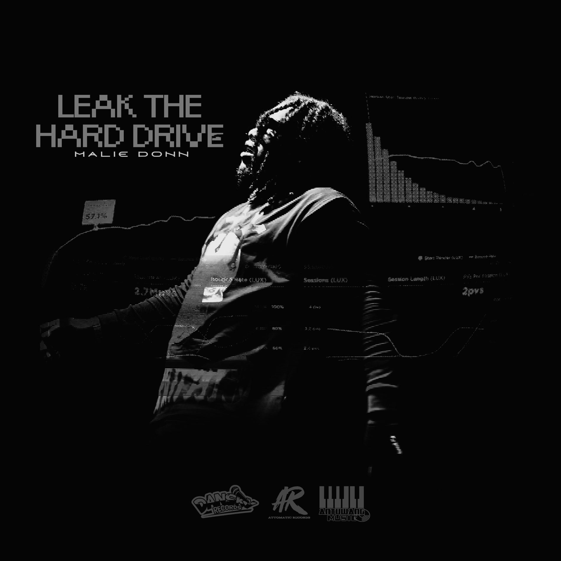 Album cover of Leak The Hard Drive