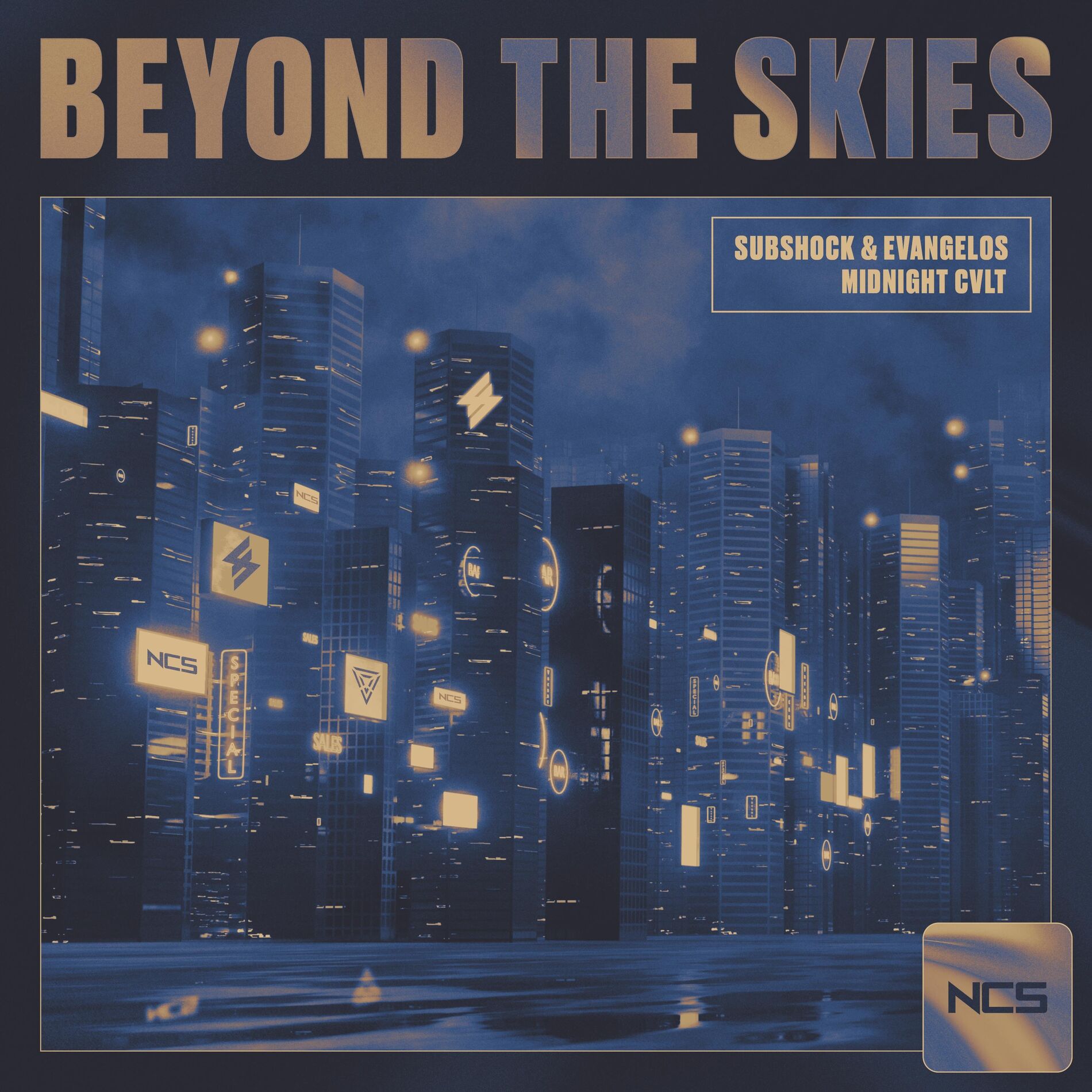 Album cover of Beyond The Skies