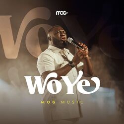 Cover of Wo Ye (Live)