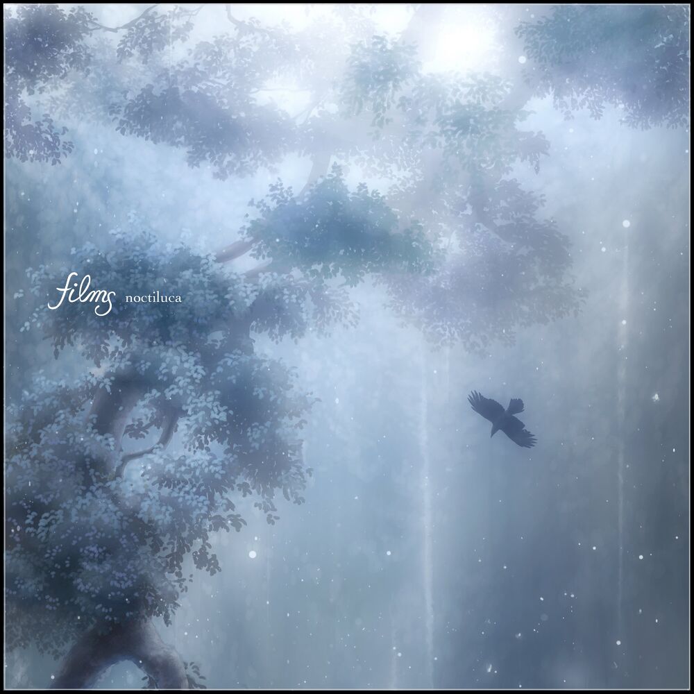 Picture of noctiluca (feat. Anoice, Takahiro Kido & Yuki Murata)