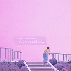 Cover of You do not know