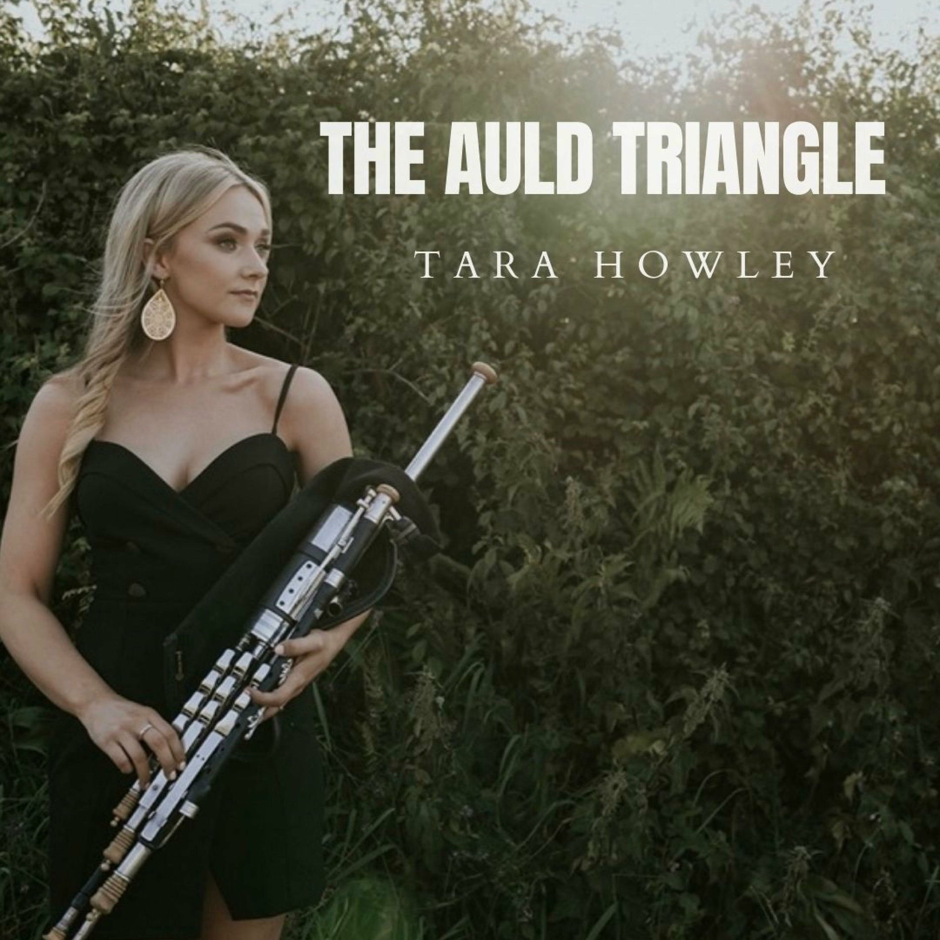 Album cover of The Auld Triangle