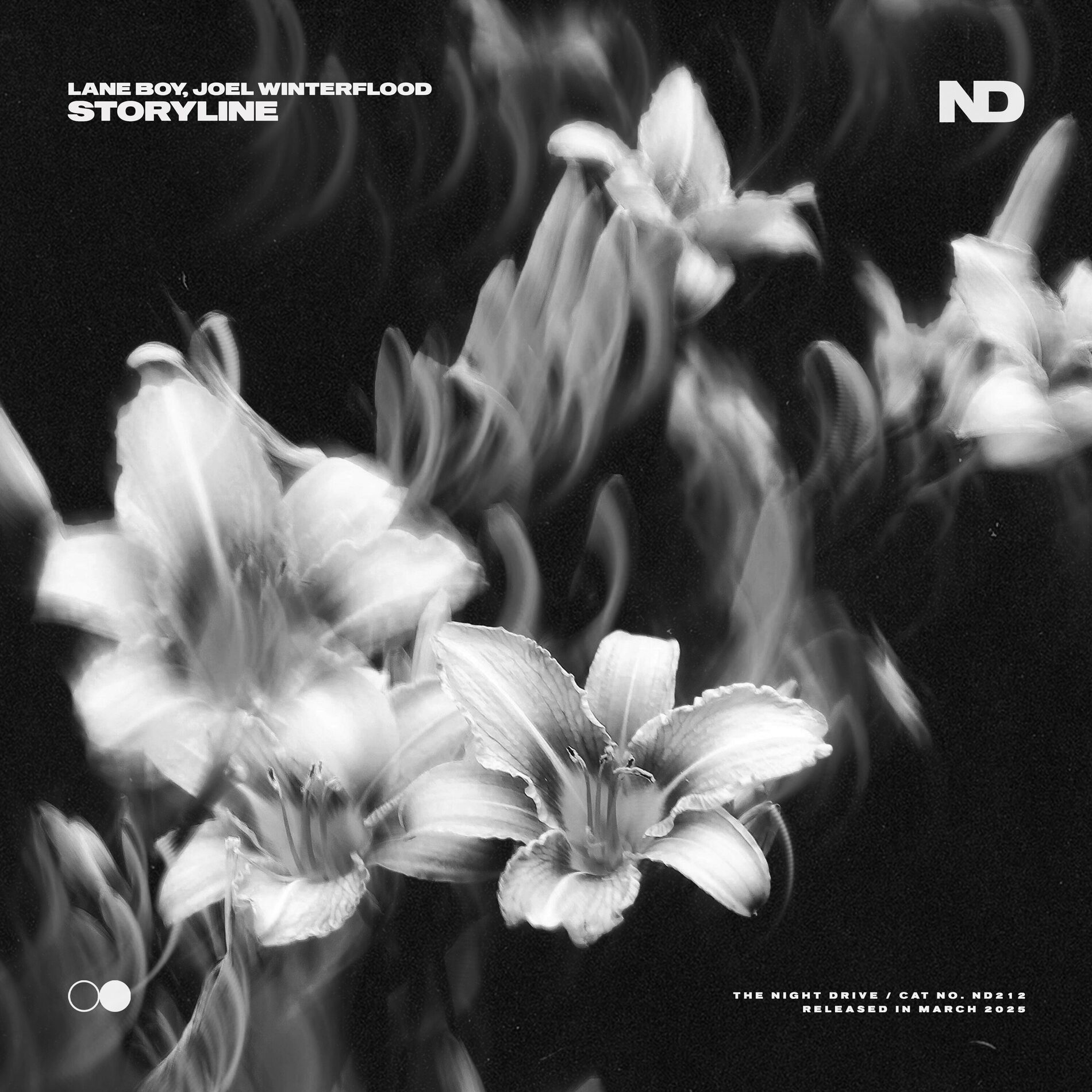 Album cover of Storyline