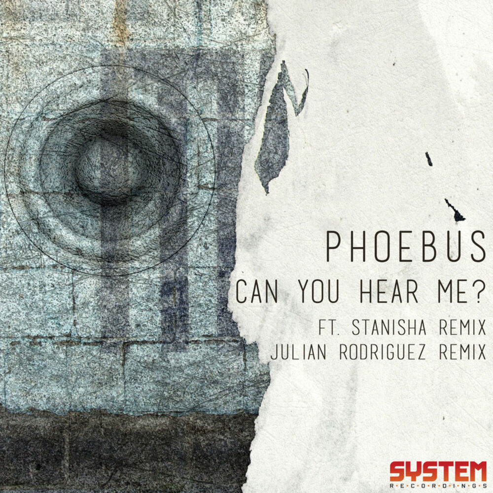 Picture of Can You Hear Me?
